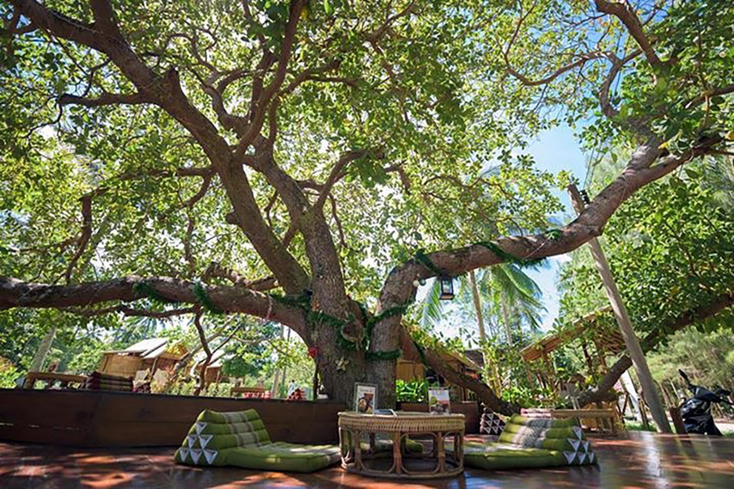 Coffee And Resort Koh Phayam Exterior photo